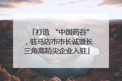 打造 “中国药谷”，驻马店市市长诚邀长三角高精尖企业入驻