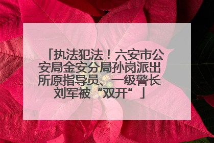 执法犯法！六安市公安局金安分局孙岗派出所原指导员、一级警长刘军被“双开”