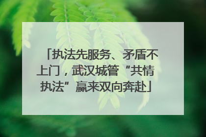 执法先服务、矛盾不上门，武汉城管“共情执法”赢来双向奔赴