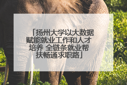 扬州大学以大数据赋能就业工作和人才培养 全链条就业帮扶畅通求职路
