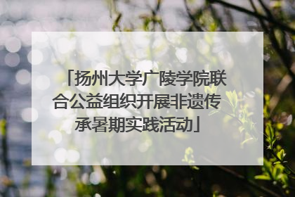 扬州大学广陵学院联合公益组织开展非遗传承暑期实践活动