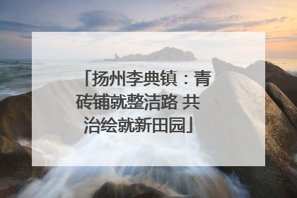 扬州李典镇：青砖铺就整洁路 共治绘就新田园