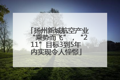 扬州新城航空产业“乘势而飞”，“211”目标3到5年内实现令人憧憬