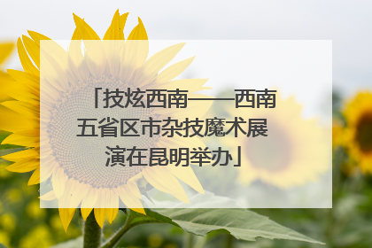 技炫西南——西南五省区市杂技魔术展演在昆明举办