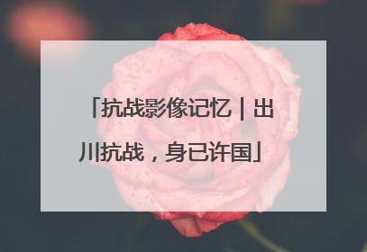 抗战影像记忆｜出川抗战，身已许国