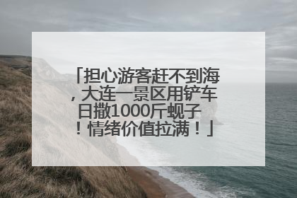 担心游客赶不到海，大连一景区用铲车日撒1000斤蚬子！情绪价值拉满！