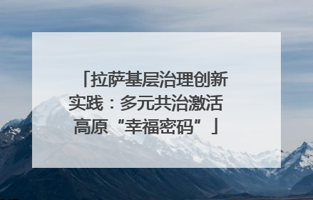 拉萨基层治理创新实践：多元共治激活高原“幸福密码”