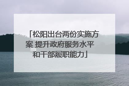 松阳出台两份实施方案 提升政府服务水平和干部履职能力