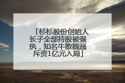 杉杉股份创始人长子全部持股被强执，知名牛散魏巍斥资1亿元入局