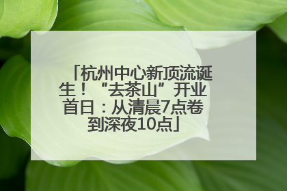 杭州中心新顶流诞生！“去茶山”开业首日：从清晨7点卷到深夜10点