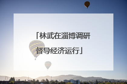 林武在淄博调研督导经济运行