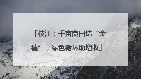 枝江：千亩良田结“金穗”，绿色循环助增收