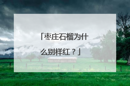 枣庄石榴为什么别样红？