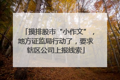 摸排股市“小作文”，地方证监局行动了，要求辖区公司上报线索