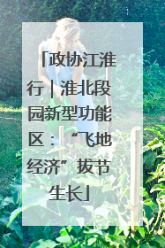 政协江淮行｜淮北段园新型功能区：“飞地经济”拔节生长