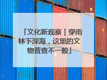 文化新观察｜穿雨林下深海，这里的文物普查不一般