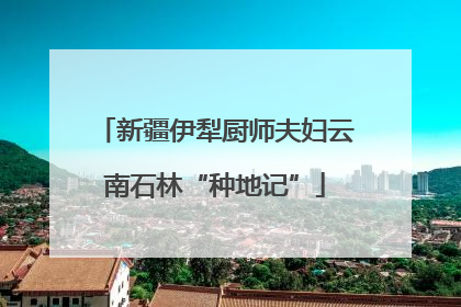 新疆伊犁厨师夫妇云南石林“种地记”