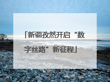 新疆孜然开启“数字丝路”新征程