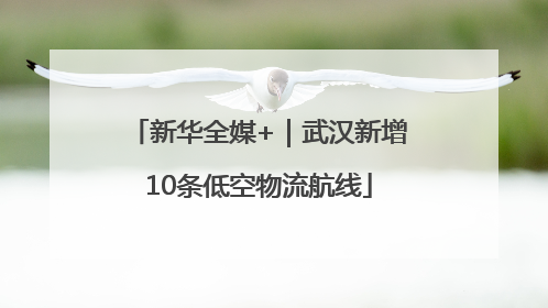 新华全媒+｜武汉新增10条低空物流航线