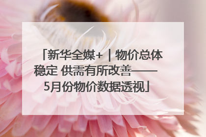 新华全媒+｜物价总体稳定 供需有所改善——5月份物价数据透视