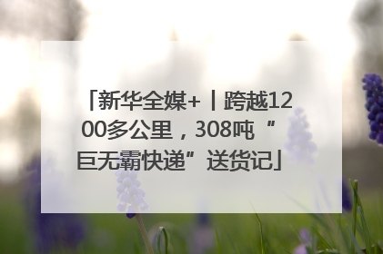 新华全媒+丨跨越1200多公里，308吨“巨无霸快递”送货记