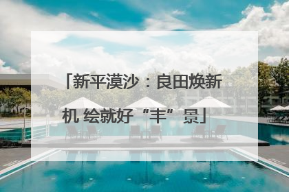 新平漠沙：良田焕新机 绘就好“丰”景