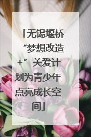 无锡堰桥“梦想改造+”关爱计划为青少年点亮成长空间