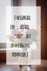 昭通盐津：蓝莓“串”起乡村振兴增收链