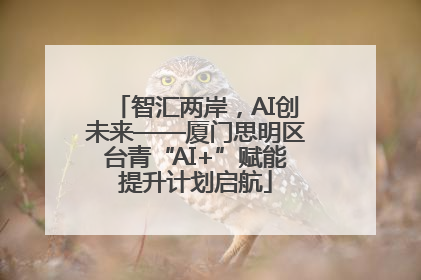 智汇两岸，AI创未来——厦门思明区台青“AI+”赋能提升计划启航