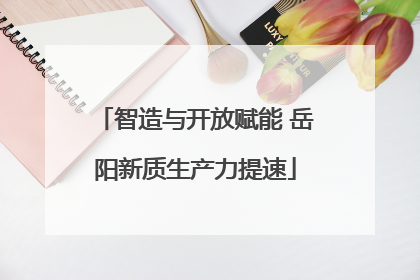 智造与开放赋能 岳阳新质生产力提速