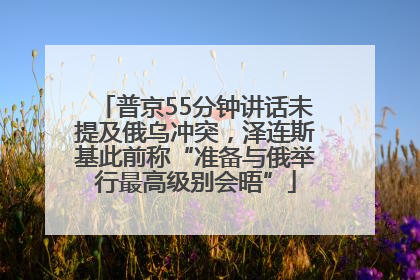 普京55分钟讲话未提及俄乌冲突，泽连斯基此前称“准备与俄举行最高级别会晤”