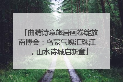 曲靖诗意旅居画卷绽放南博会：乌蒙气魄汇珠江，山水诗城启新章