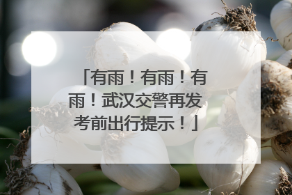 有雨！有雨！有雨！武汉交警再发考前出行提示！