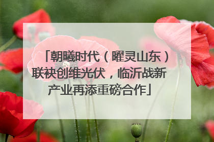 朝曦时代（曜灵山东）联袂创维光伏，临沂战新产业再添重磅合作