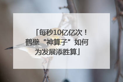 每秒10亿亿次！鹤壁“神算子”如何为发展添胜算
