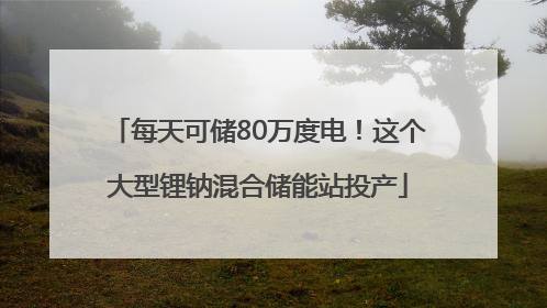 每天可储80万度电！这个大型锂钠混合储能站投产