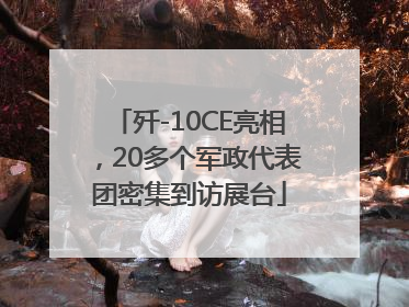 歼-10CE亮相，20多个军政代表团密集到访展台
