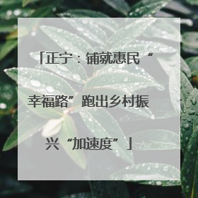 正宁：铺就惠民“幸福路”跑出乡村振兴“加速度”