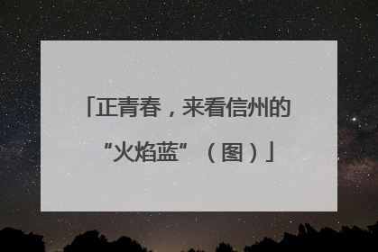 正青春，来看信州的“火焰蓝”（图）