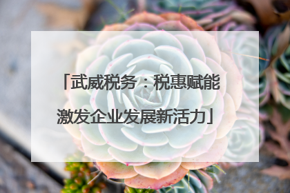 武威税务：税惠赋能 激发企业发展新活力