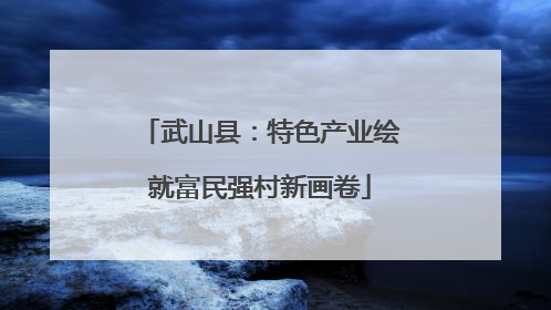 武山县：特色产业绘就富民强村新画卷
