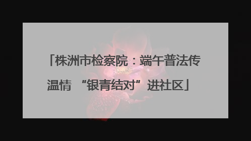 株洲市检察院：端午普法传温情 “银青结对”进社区