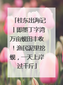 桂东出海记丨即墨丁字湾万亩蚬田丰收！渔民泥里挖蚬，一天上岸过千斤