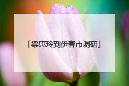 梁惠玲到伊春市调研