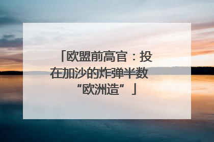 欧盟前高官：投在加沙的炸弹半数“欧洲造”
