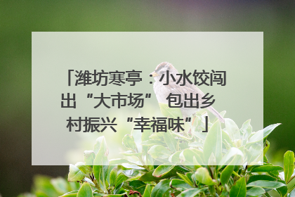 潍坊寒亭：小水饺闯出“大市场” 包出乡村振兴“幸福味”