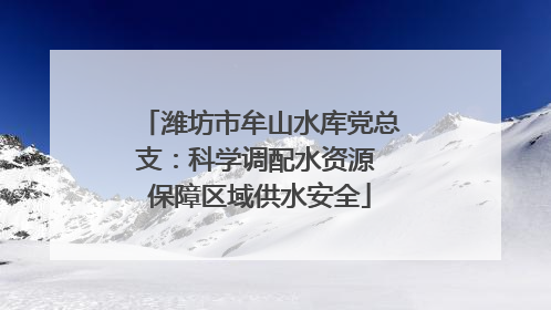 潍坊市牟山水库党总支：科学调配水资源 保障区域供水安全