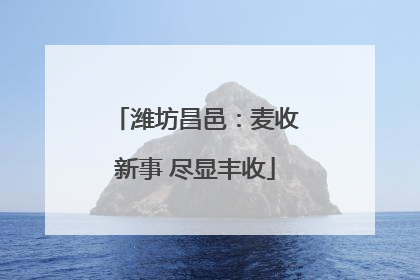 潍坊昌邑：麦收新事 尽显丰收
