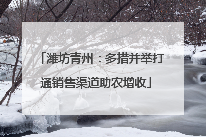 潍坊青州：多措并举打通销售渠道助农增收