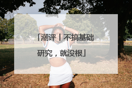 潮评丨不搞基础研究，就没根